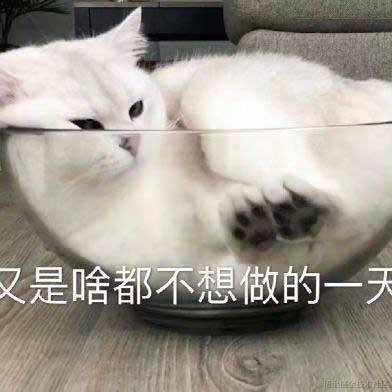 用户8104060618709于2024-07-13 10:14发布的图片