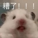 树洞robot于2023-05-10 09:23发布的图片