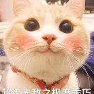 uu_Q于2020-08-03 18:46发布的图片
