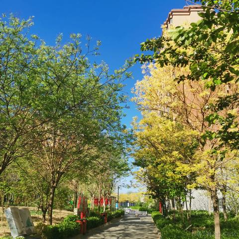 IT前端小马哥于2021-04-29 16:55发布的图片