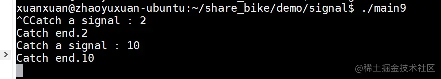 image-20220821131026619