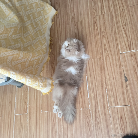 123123okok于2024-03-22 09:57发布的图片