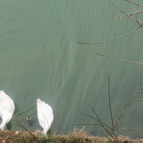 大栗于2023-02-24 17:10发布的图片