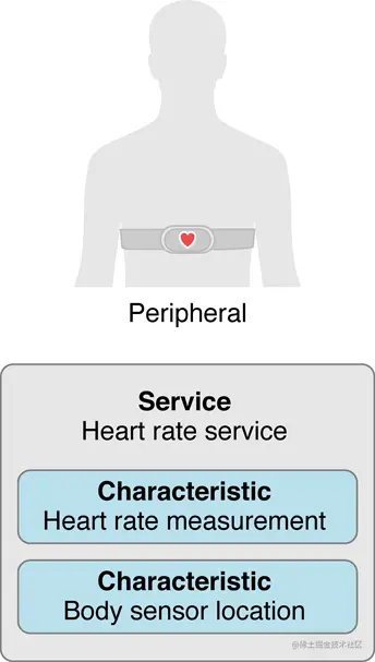 A peripheral's service and characteristics