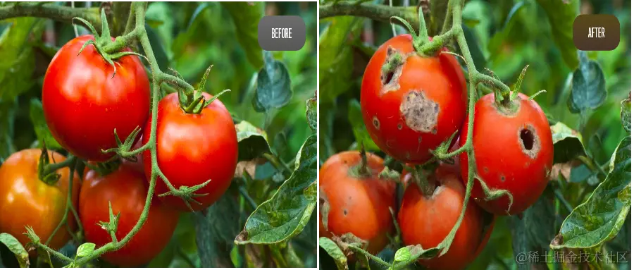 科技改变农业：合成数据农业中的应用