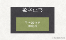 第一版数字证书的内容