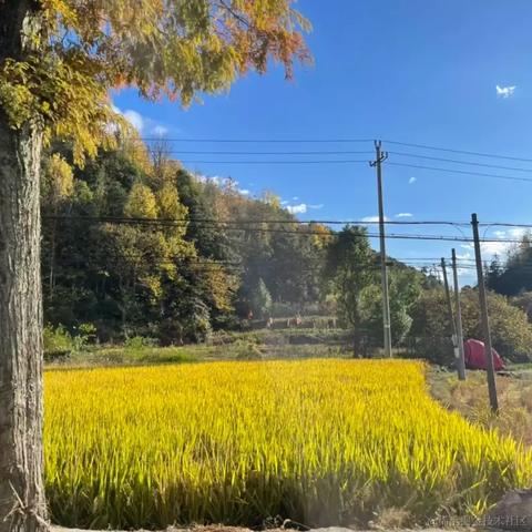 韭菜包子铺于2022-11-11 09:23发布的图片