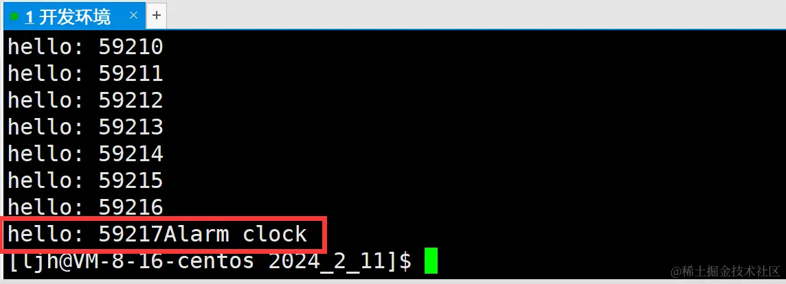 image-20240211161530720