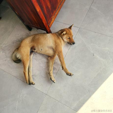 天光向晚云徘徊于2022-11-20 22:28发布的图片