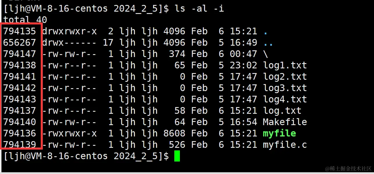 image-20240206163014897