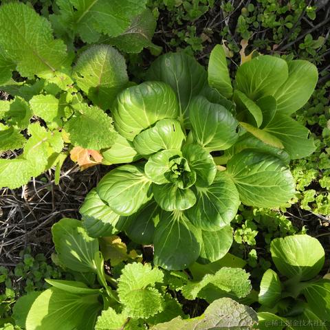 卑微打工仔在线陪聊于2023-01-24 20:05发布的图片