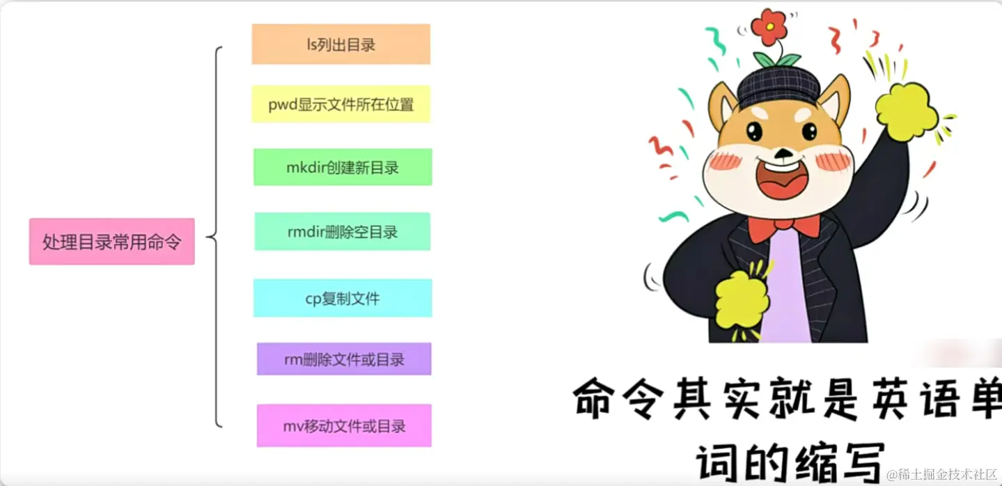 image-20240116233600654