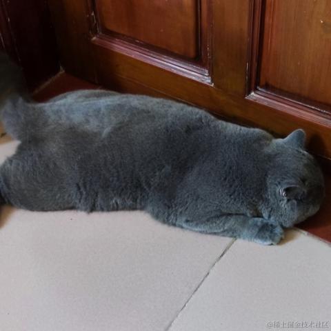 脆弱杨桃干于2022-11-13 16:31发布的图片