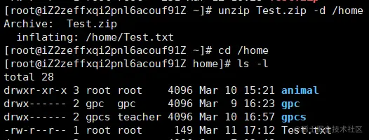 image-20220312162943079