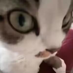 向晚出发于2023-06-22 11:28发布的图片