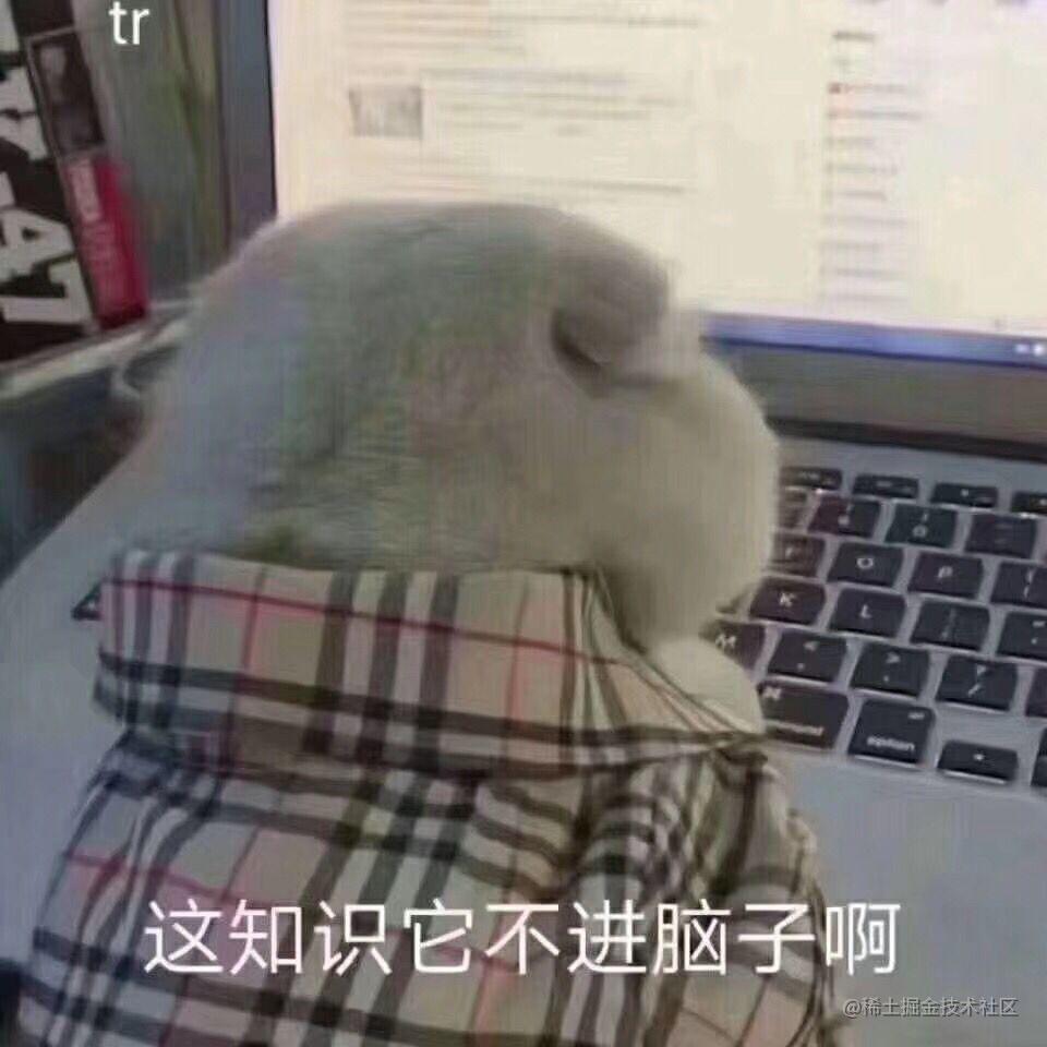 每天一个面试点