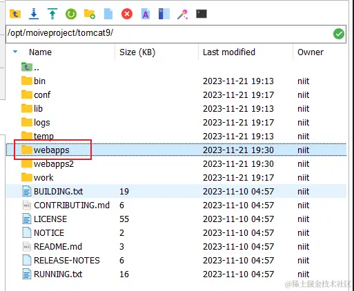 image-20231122204926969