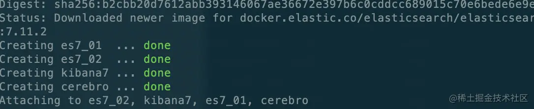 image-20210317125918749