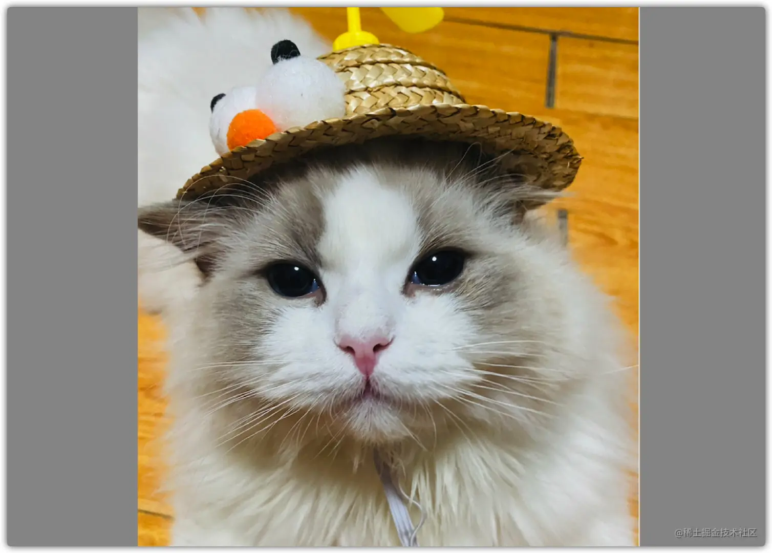 image-20210815172111954