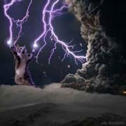 sprite的个人资料头像