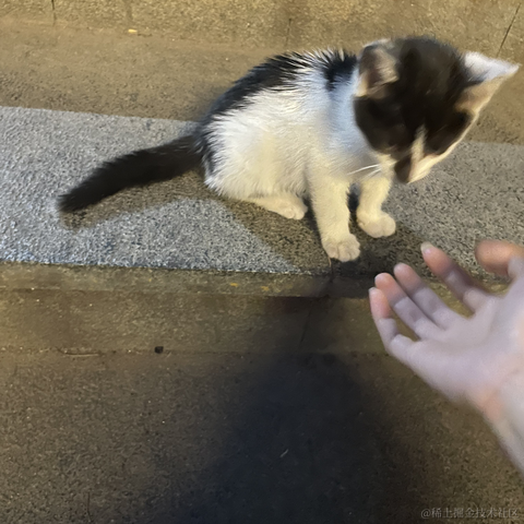 找不到我找不到我于2022-06-06 20:01发布的图片