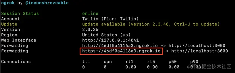 Tunnel details for ngrok