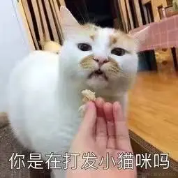 6bff714c82164c0de16f115b23d7062