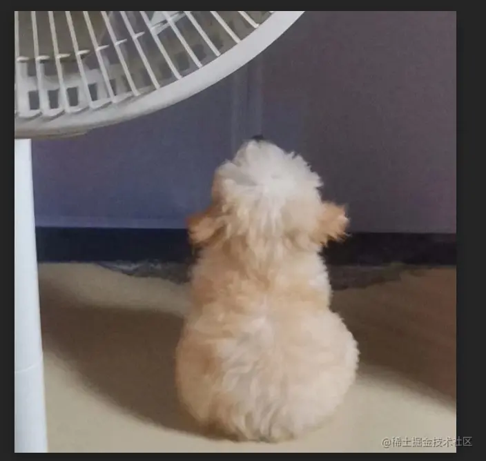 Pasted image 20230627110015.png