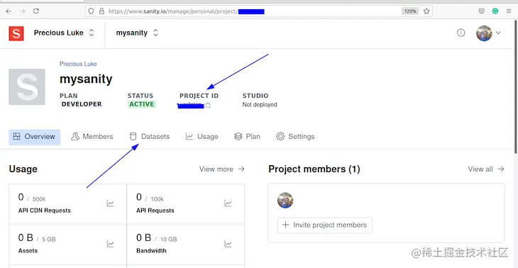 Getting The Project ID From Sanity