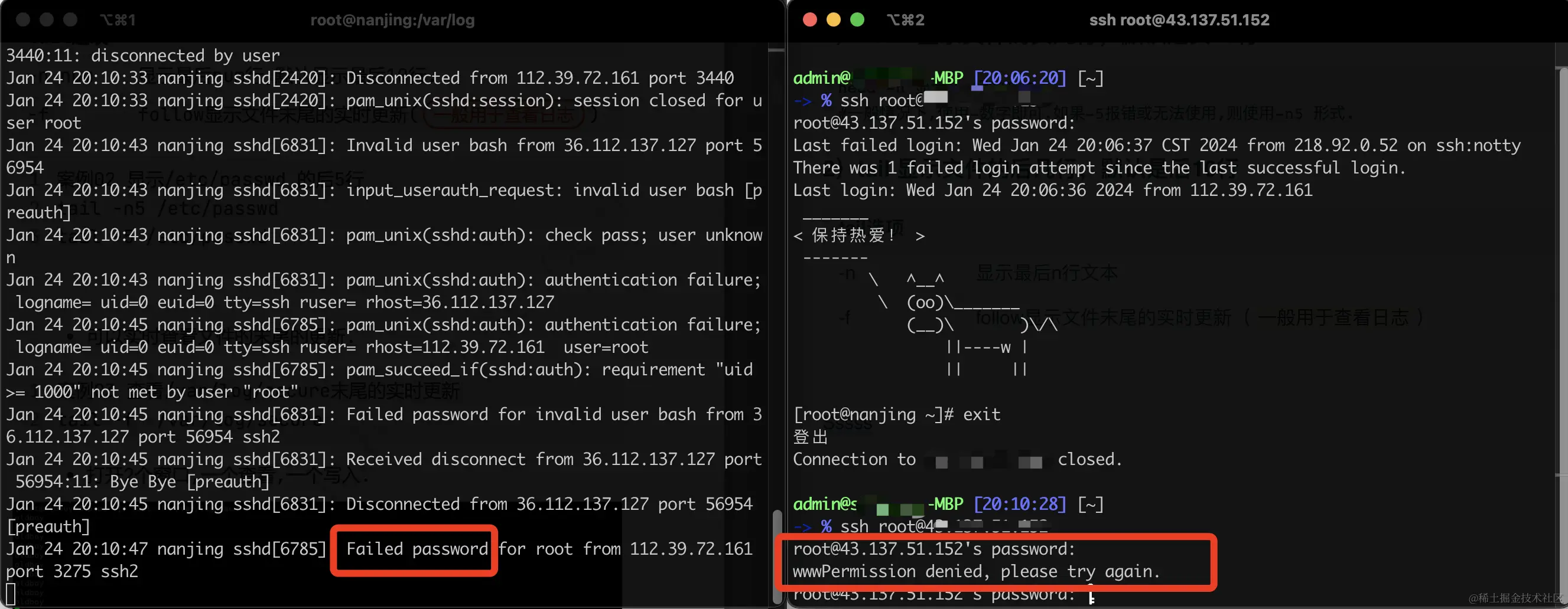 image-20240124201209787