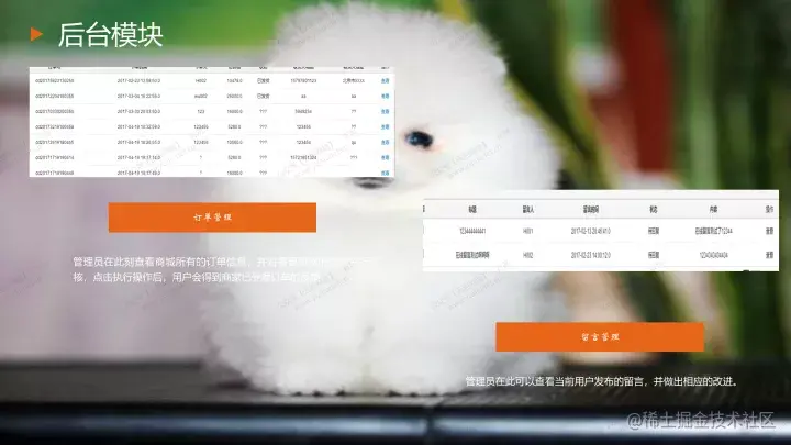 基于java的宠物网站设计与实现的论文PPT源码（包调试运行成功）
