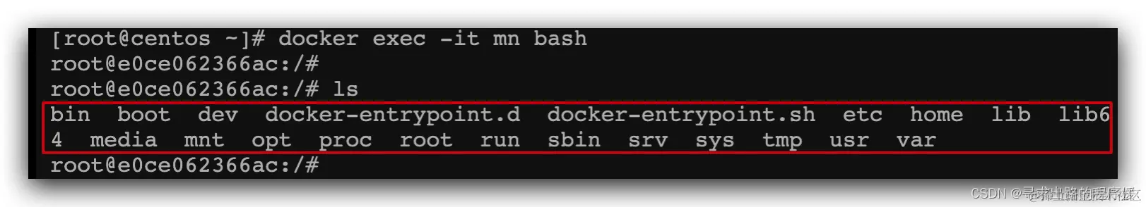 在这里插入图片描述