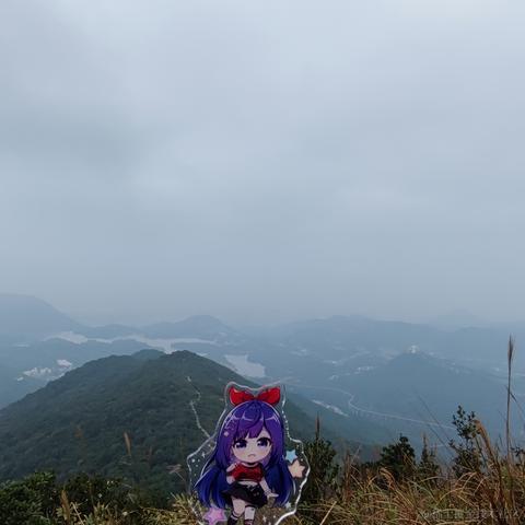 脆弱杨桃干于2022-11-12 18:04发布的图片