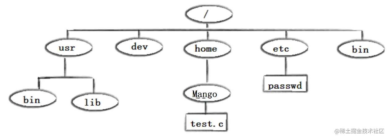 image-20220224204831234