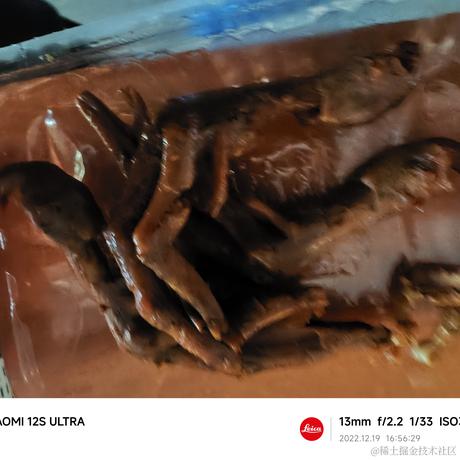 向晚明天吃什么牛于2022-12-19 16:57发布的图片