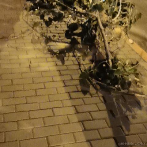 捂耳听枫于2022-09-23 23:46发布的图片