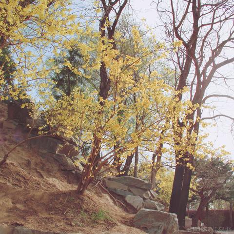 平小凡于2022-04-07 17:23发布的图片