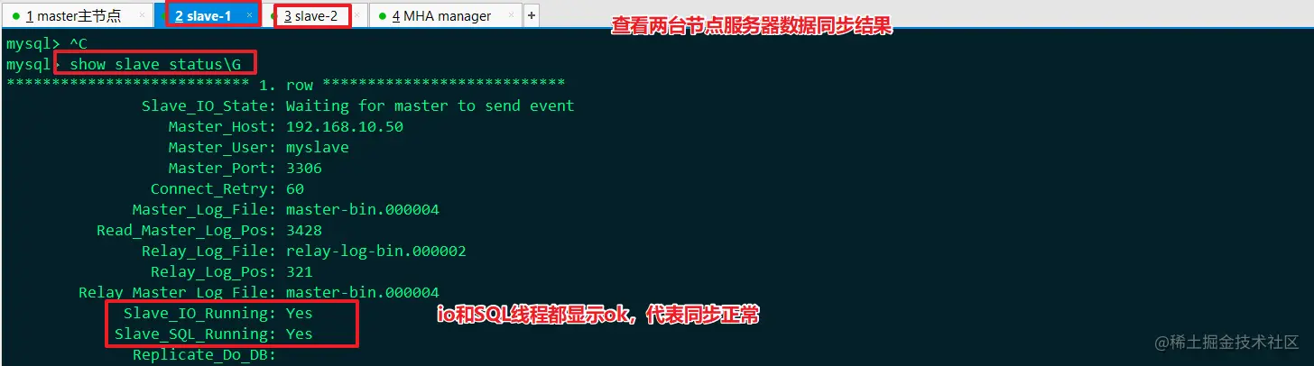 image-20220604142526481