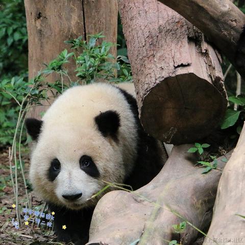 Ricardo_M_Eric于2023-05-26 10:34发布的图片