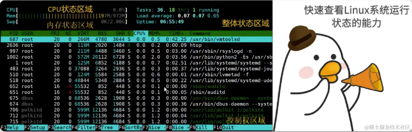 image-20240117204456894