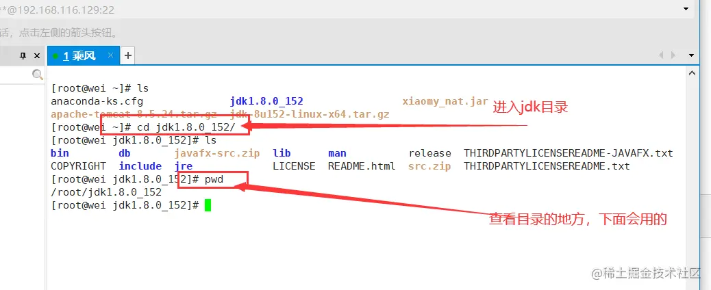 Linux使用「网云穿」【Centos7演示】