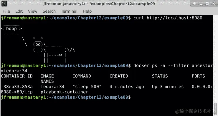 图 12.17 - 验证我们的播放书运行结果