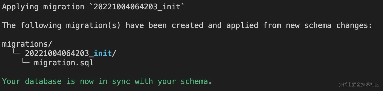 Prisma 迁移成功生成SQL