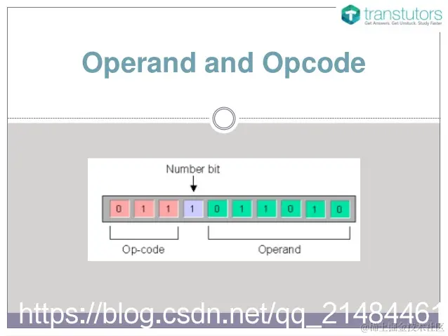 图片来源于网络