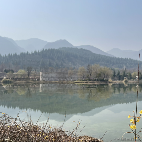 从起风了到那个夏天于2023-03-13 16:27发布的图片