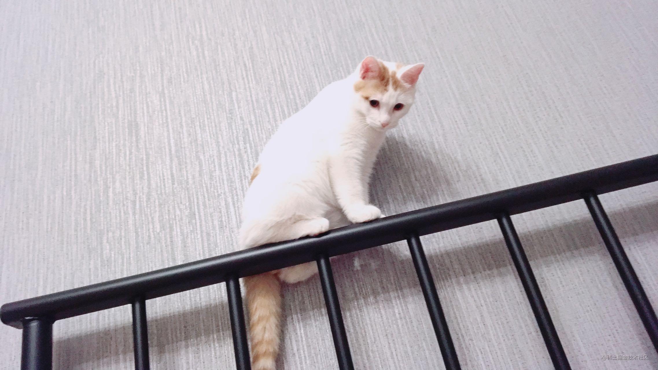 NestJs的上手之路