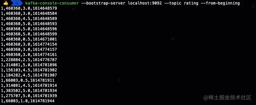 image-20210308171537587