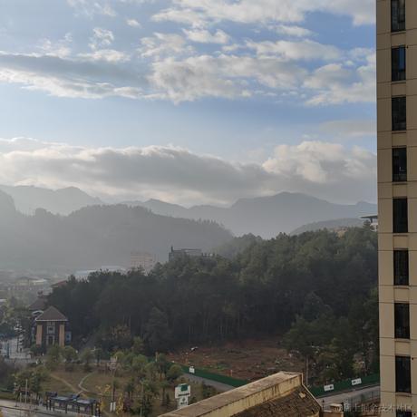 勇敢小贝于2022-11-21 08:31发布的图片