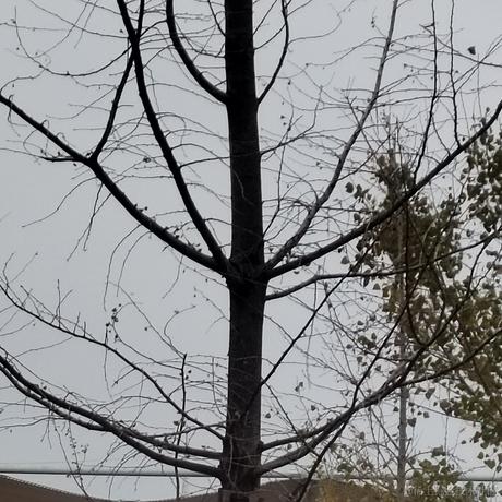 夏韭菜于2022-11-30 10:49发布的图片